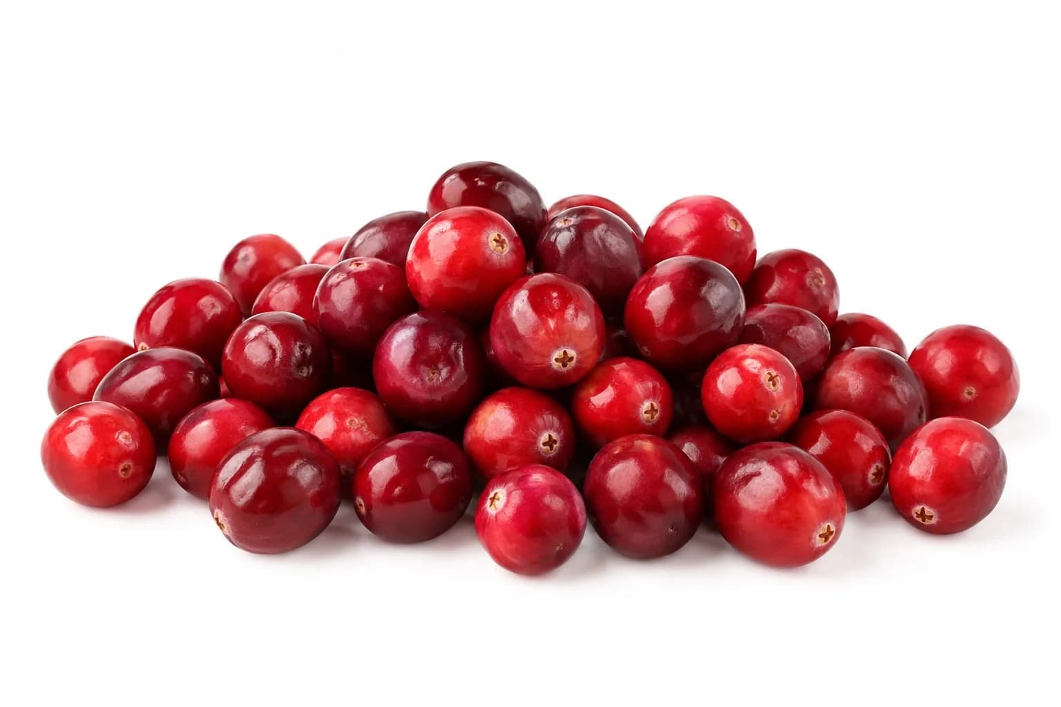 Świeża żurawina
